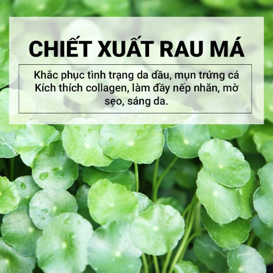 Tinh Chất Skin1004 Madagascar Centella Ampoule 100ml – Phục Hồi & Làm Dịu Da - Ảnh 5