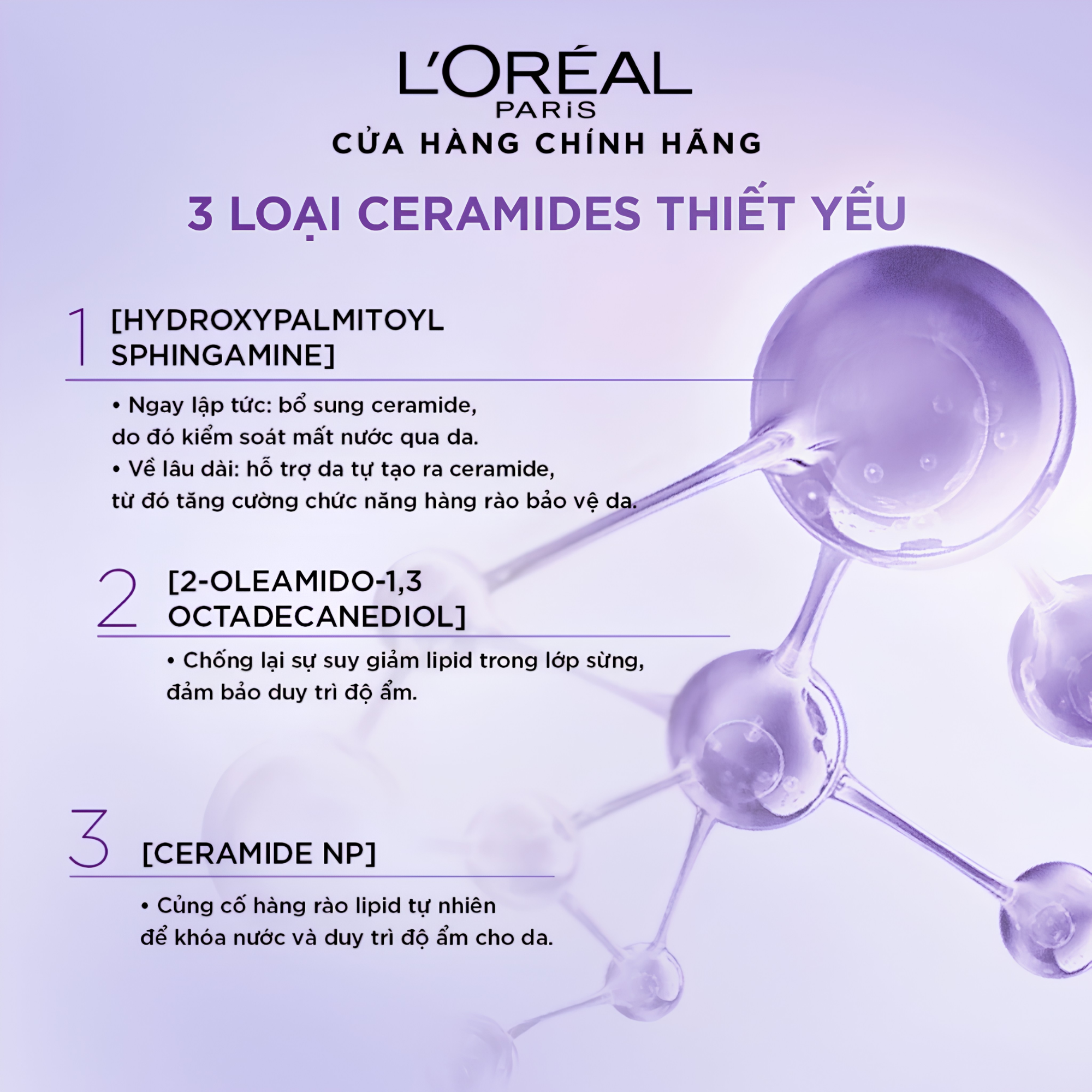 Kem dưỡng siêu cấp ẩm, giúp làm căng mượt da và giảm nếp nhăn L'Oreal Paris Revitalift 1.5% Hyaluronic Acid 50ml - Ảnh 3